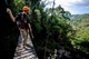 Tree Top Explorer