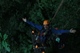 Tree Top Explorer