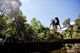 Tree Top Explorer