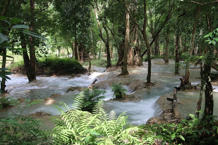 Tad Sae Waterfall