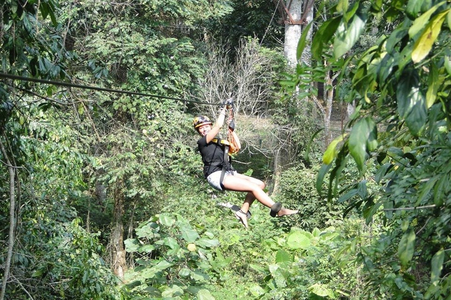 Jungle Fly in Luang Prabang